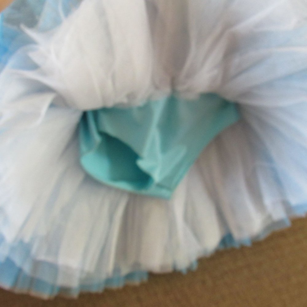 Ballet Platter Tutu LED Light Professional Dance Outfit Girls Size 130 Large - Picture 11 of 12